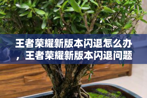 王者荣耀新版本闪退怎么办,王者荣耀新版本闪退问题解析 王者荣耀新版本闪退怎么办,王者荣耀新版本闪退问题解析