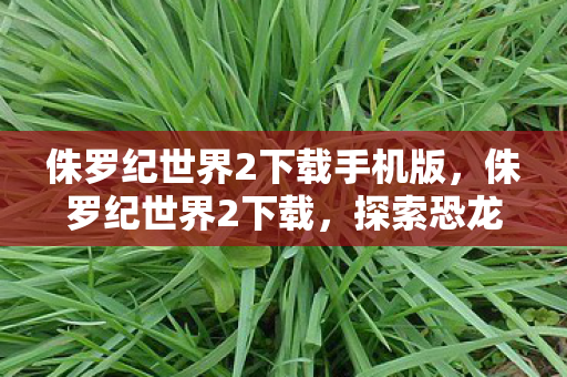 侏罗纪世界2下载手机版,侏罗纪世界2下载,探索恐龙世界的奇妙之旅 侏罗纪世界2下载手机版,侏罗纪世界2下载,探索恐龙世界的奇妙之旅