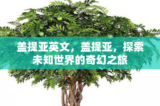 盖提亚英文,盖提亚,探索未知世界的奇幻之旅 盖提亚英文,盖提亚,探索未知世界的奇幻之旅