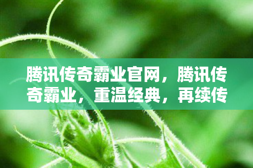 腾讯传奇霸业官网,腾讯传奇霸业,重温经典,再续传奇 腾讯传奇霸业官网,腾讯传奇霸业,重温经典,再续传奇
