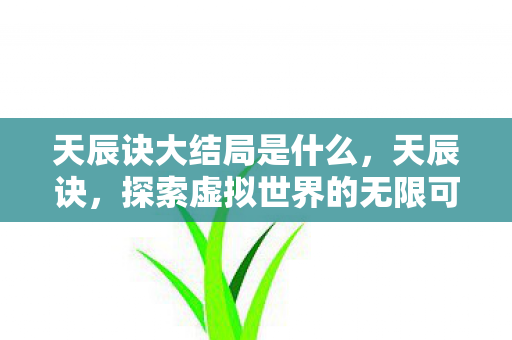 天辰诀大结局是什么,天辰诀,探索虚拟世界的无限可能 天辰诀大结局是什么,天辰诀,探索虚拟世界的无限可能