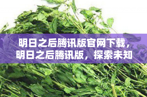 明日之后腾讯版官网下载,明日之后腾讯版,探索未知,共筑生存 明日之后腾讯版官网下载,明日之后腾讯版,探索未知,共筑生存