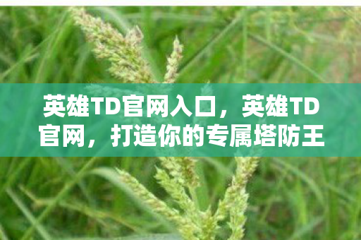 英雄TD官网入口,英雄TD官网,打造你的专属塔防王国 英雄TD官网入口,英雄TD官网,打造你的专属塔防王国