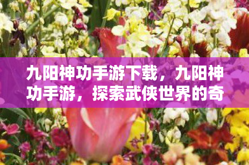九阳神功手游下载,九阳神功手游,探索武侠世界的奇妙之旅 九阳神功手游下载,九阳神功手游,探索武侠世界的奇妙之旅
