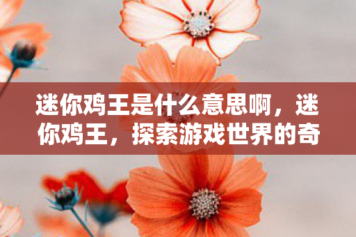 迷你鸡王是什么意思啊,迷你鸡王,探索游戏世界的奇妙之旅 迷你鸡王是什么意思啊,迷你鸡王,探索游戏世界的奇妙之旅