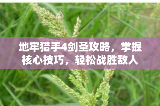 地牢猎手4剑圣攻略，掌握核心技巧，轻松战胜敌人