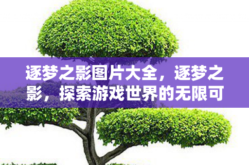 逐梦之影图片大全,逐梦之影,探索游戏世界的无限可能 逐梦之影图片大全,逐梦之影,探索游戏世界的无限可能