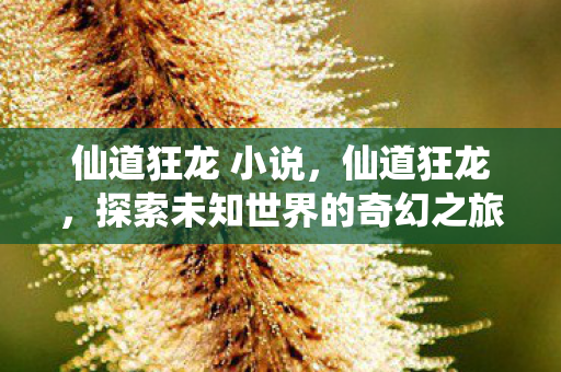 仙道狂龙 小说,仙道狂龙,探索未知世界的奇幻之旅 仙道狂龙 小说,仙道狂龙,探索未知世界的奇幻之旅