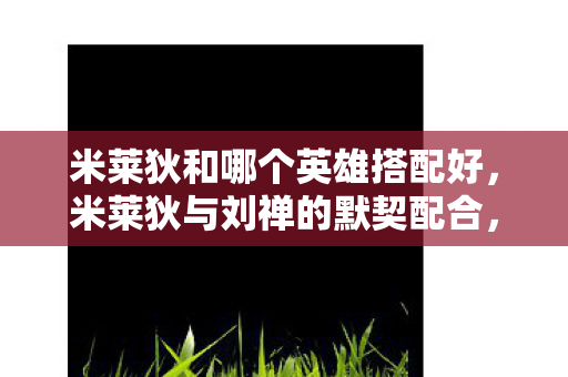 米莱狄和哪个英雄搭配好,米莱狄与刘禅的默契配合,高效推进的王者组合 米莱狄和哪个英雄搭配好,米莱狄与刘禅的默契配合,高效推进的王者组合