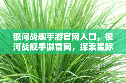 银河战舰手游官网入口，银河战舰手游官网，探索星际，决战宇宙的奇幻之旅