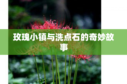 玫瑰小镇与洗点石的奇妙故事 玫瑰小镇与洗点石的奇妙故事