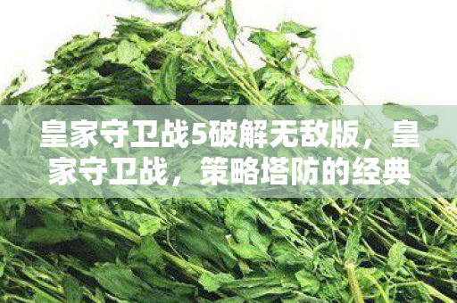 皇家守卫战5破解无敌版,皇家守卫战,策略塔防的经典之作 皇家守卫战5破解无敌版,皇家守卫战,策略塔防的经典之作