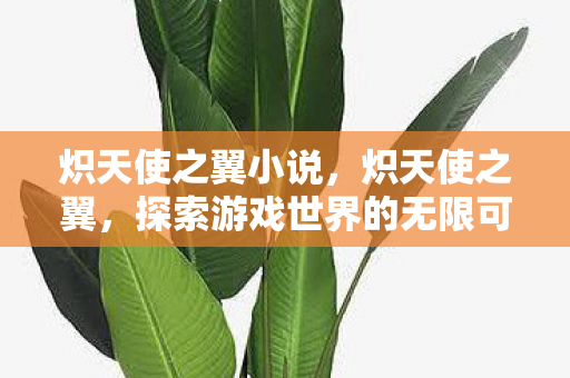 炽天使之翼小说,炽天使之翼,探索游戏世界的无限可能 炽天使之翼小说,炽天使之翼,探索游戏世界的无限可能