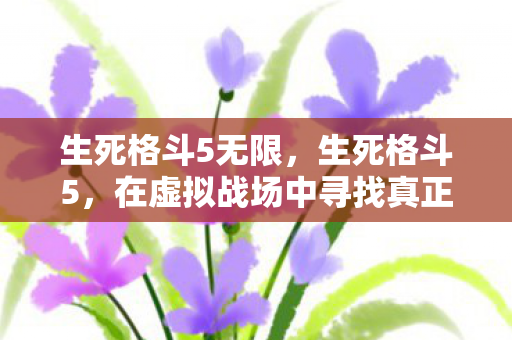 生死格斗5无限,生死格斗5,在虚拟战场中寻找真正的自我 生死格斗5无限,生死格斗5,在虚拟战场中寻找真正的自我