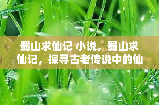 蜀山求仙记 小说,蜀山求仙记,探寻古老传说中的仙山奇缘 蜀山求仙记 小说,蜀山求仙记,探寻古老传说中的仙山奇缘