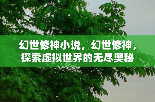 幻世修神小说,幻世修神,探索虚拟世界的无尽奥秘 幻世修神小说,幻世修神,探索虚拟世界的无尽奥秘