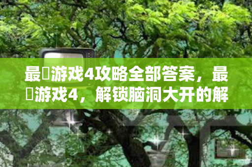 最囧游戏4攻略全部答案，最囧游戏4，解锁脑洞大开的解谜新体验