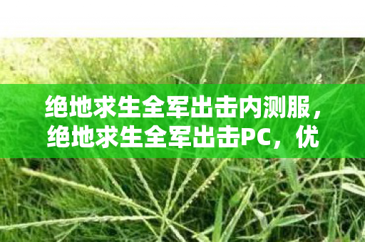 绝地求生全军出击内测服,绝地求生全军出击PC,优化设置与战术分析 绝地求生全军出击内测服,绝地求生全军出击PC,优化设置与战术分析