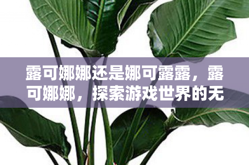 露可娜娜还是娜可露露,露可娜娜,探索游戏世界的无限可能 露可娜娜还是娜可露露,露可娜娜,探索游戏世界的无限可能