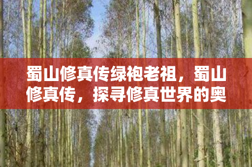蜀山修真传绿袍老祖,蜀山修真传,探寻修真世界的奥秘 蜀山修真传绿袍老祖,蜀山修真传,探寻修真世界的奥秘