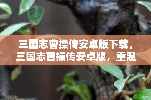 三国志曹操传安卓版下载,三国志曹操传安卓版,重温经典,策略与冒险的完美结合 三国志曹操传安卓版下载,三国志曹操传安卓版,重温经典,策略与冒险的完美结合