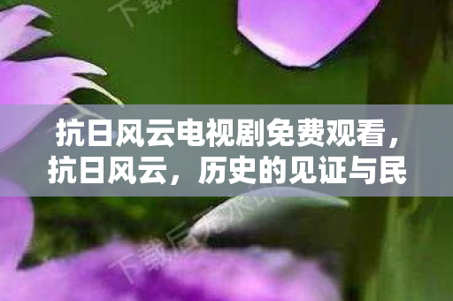抗日风云电视剧免费观看,抗日风云,历史的见证与民族的觉醒 抗日风云电视剧免费观看,抗日风云,历史的见证与民族的觉醒
