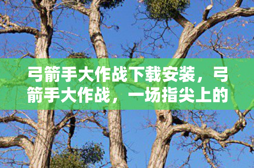 弓箭手大作战下载安装,弓箭手大作战,一场指尖上的冒险 弓箭手大作战下载安装,弓箭手大作战,一场指尖上的冒险