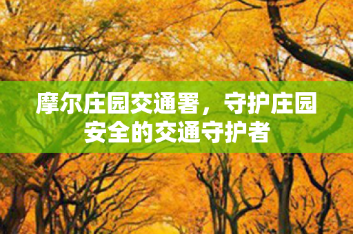 摩尔庄园交通署,守护庄园安全的交通守护者 摩尔庄园交通署,守护庄园安全的交通守护者