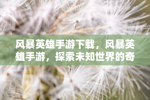风暴英雄手游下载,风暴英雄手游,探索未知世界的奇幻之旅 风暴英雄手游下载,风暴英雄手游,探索未知世界的奇幻之旅