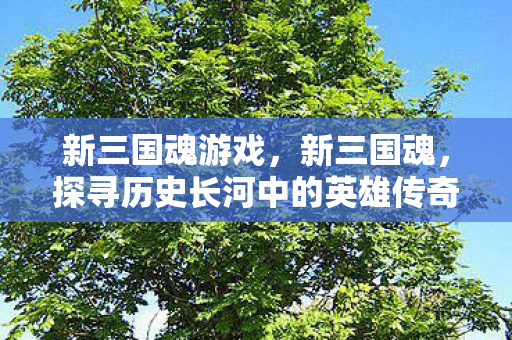 新三国魂游戏,新三国魂,探寻历史长河中的英雄传奇 新三国魂游戏,新三国魂,探寻历史长河中的英雄传奇