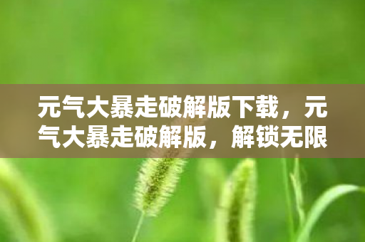 元气大暴走破解版下载,元气大暴走破解版,解锁无限可能的冒险之旅 元气大暴走破解版下载,元气大暴走破解版,解锁无限可能的冒险之旅