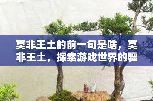 莫非王土的前一句是啥,莫非王土,探索游戏世界的疆域与规则 莫非王土的前一句是啥,莫非王土,探索游戏世界的疆域与规则