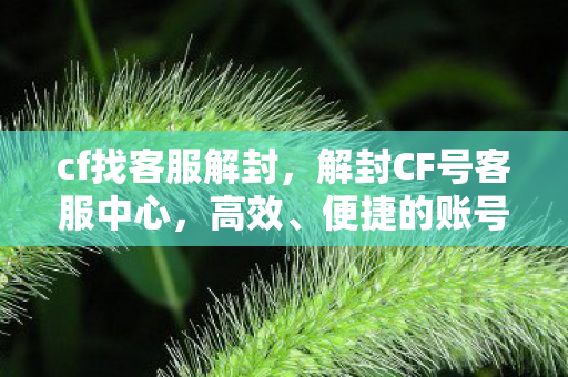 cf找客服解封，解封CF号客服中心，高效、便捷的账号恢复途径