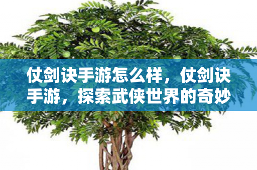 仗剑诀手游怎么样,仗剑诀手游,探索武侠世界的奇妙之旅 仗剑诀手游怎么样,仗剑诀手游,探索武侠世界的奇妙之旅