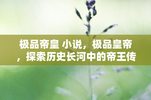 极品帝皇 小说,极品皇帝,探索历史长河中的帝王传奇 极品帝皇 小说,极品皇帝,探索历史长河中的帝王传奇