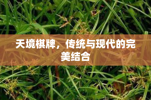 天境棋牌，传统与现代的完美结合