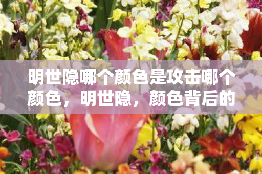 明世隐哪个颜色是攻击哪个颜色，明世隐，颜色背后的攻击奥秘