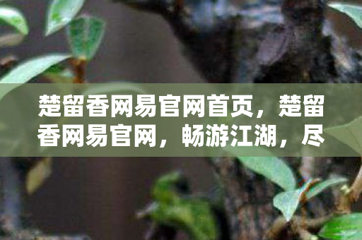楚留香网易官网首页,楚留香网易官网,畅游江湖,尽享古风魅力 楚留香网易官网首页,楚留香网易官网,畅游江湖,尽享古风魅力