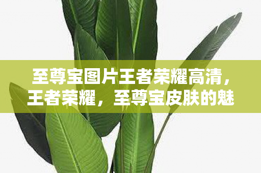 至尊宝图片王者荣耀高清,王者荣耀,至尊宝皮肤的魅力与背后的故事 至尊宝图片王者荣耀高清,王者荣耀,至尊宝皮肤的魅力与背后的故事