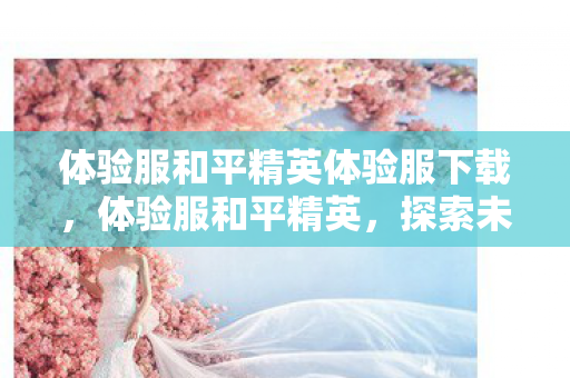 体验服和平精英体验服下载,体验服和平精英,探索未知,挑战极限 体验服和平精英体验服下载,体验服和平精英,探索未知,挑战极限