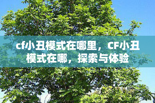 cf小丑模式在哪里，CF小丑模式在哪，探索与体验