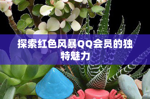 探索红色风暴QQ会员的独特魅力