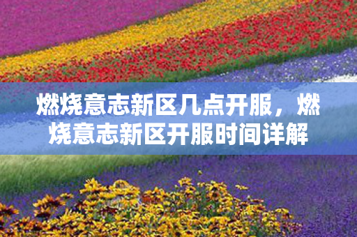 燃烧意志新区几点开服,燃烧意志新区开服时间详解 燃烧意志新区几点开服,燃烧意志新区开服时间详解