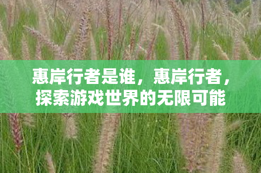 惠岸行者是谁，惠岸行者，探索游戏世界的无限可能