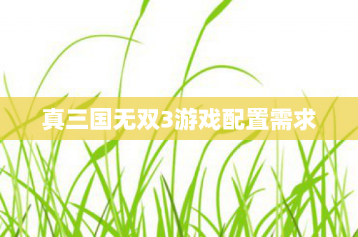 真三国无双3游戏配置需求