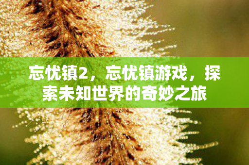 忘忧镇2,忘忧镇游戏,探索未知世界的奇妙之旅 忘忧镇2,忘忧镇游戏,探索未知世界的奇妙之旅