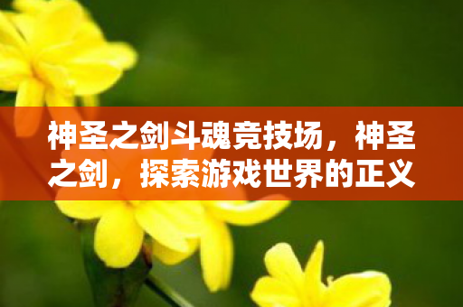 神圣之剑斗魂竞技场,神圣之剑,探索游戏世界的正义与荣耀 神圣之剑斗魂竞技场,神圣之剑,探索游戏世界的正义与荣耀