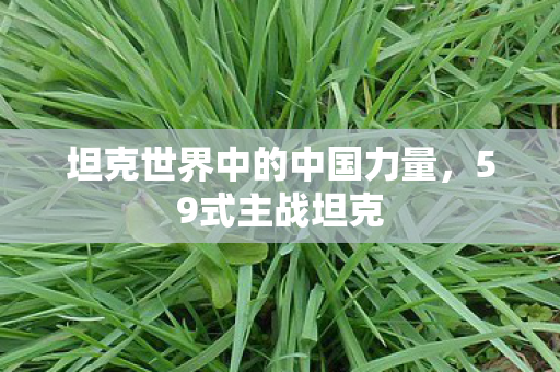坦克世界中的中国力量,59式主战坦克 坦克世界中的中国力量,59式主战坦克