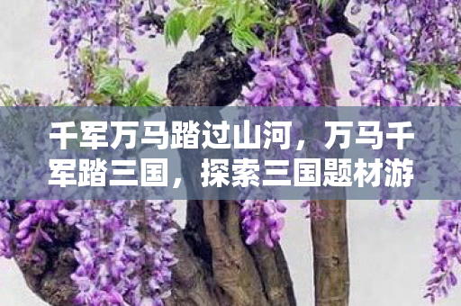 千军万马踏过山河，万马千军踏三国，探索三国题材游戏的魅力与影响