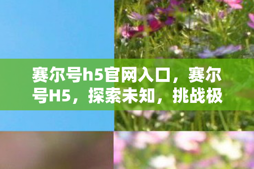 赛尔号h5官网入口,赛尔号H5,探索未知,挑战极限的精灵养成之旅 赛尔号h5官网入口,赛尔号H5,探索未知,挑战极限的精灵养成之旅